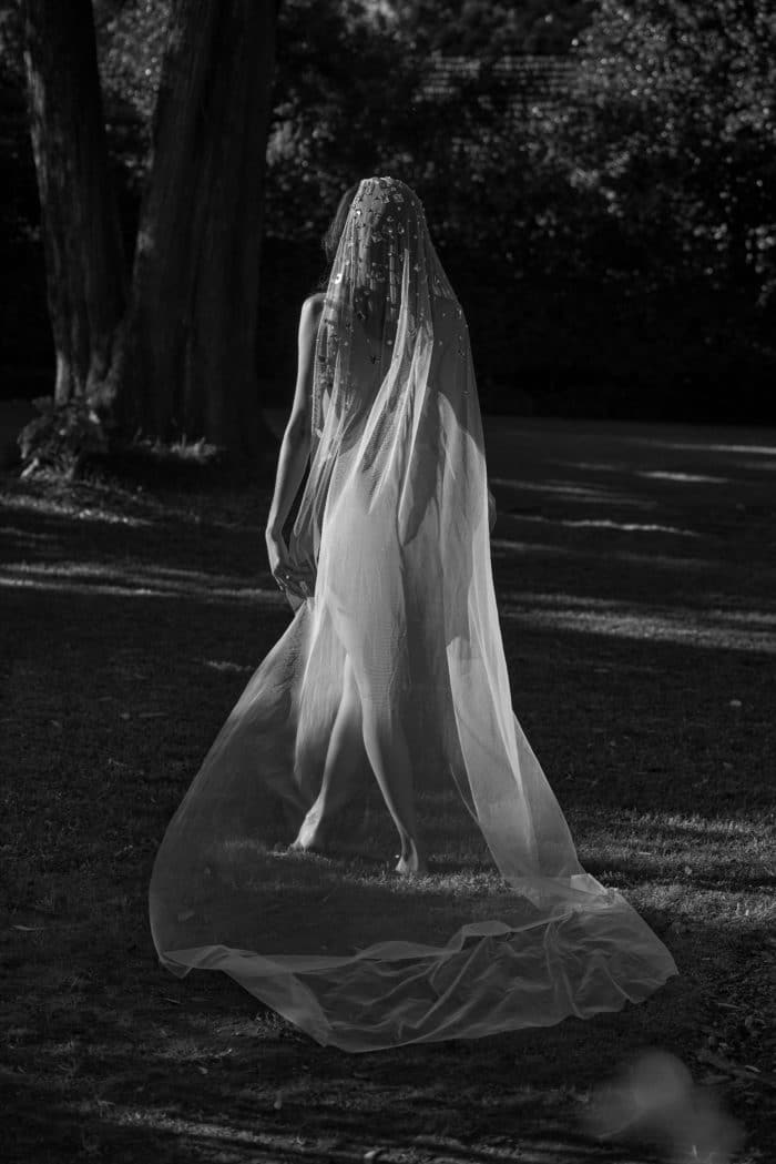 Celestial Veil - Image 8