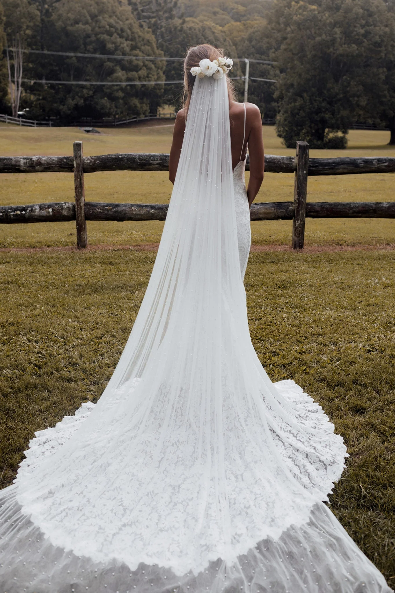 Pearly Long Veil - Image 6